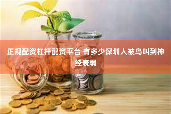 正规配资杠杆配资平台 有多少深圳人被鸟叫到神经衰弱