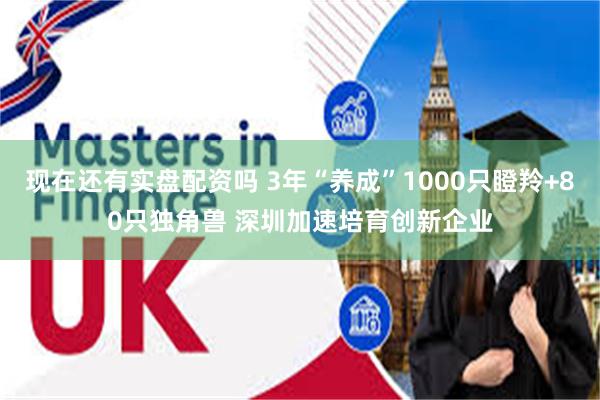 现在还有实盘配资吗 3年“养成”1000只瞪羚+80只独角兽 深圳加速培育创新企业