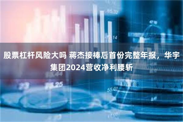 股票杠杆风险大吗 蒋杰接棒后首份完整年报，华宇集团2024营收净利腰斩