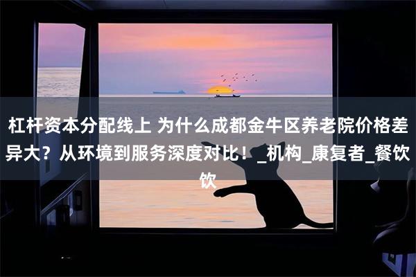 杠杆资本分配线上 为什么成都金牛区养老院价格差异大？从环境到服务深度对比！_机构_康复者_餐饮