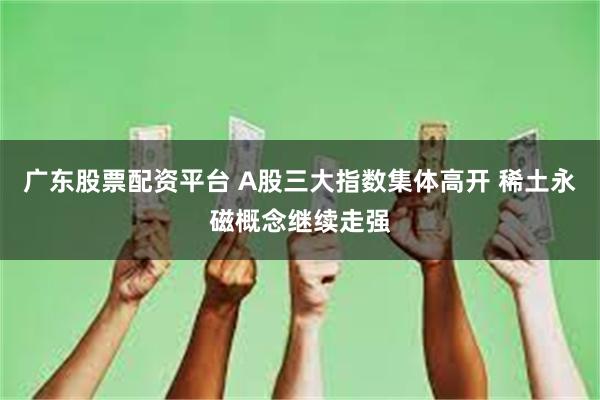 广东股票配资平台 A股三大指数集体高开 稀土永磁概念继续走强