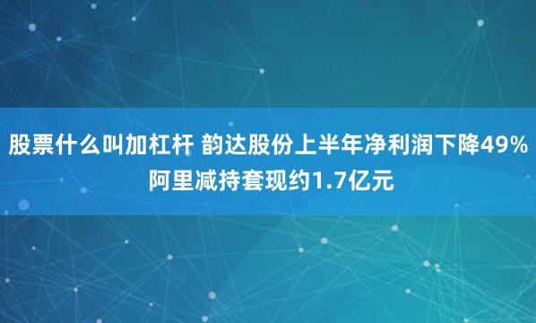 股票什么叫加杠杆 韵达股份上半年净利润下降49% 阿里减持套现约1.7亿元
