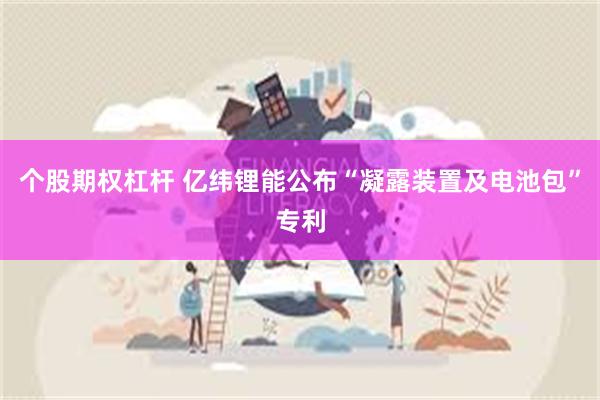个股期权杠杆 亿纬锂能公布“凝露装置及电池包”专利