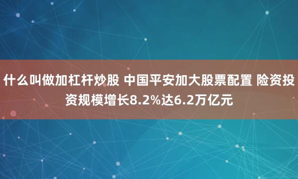 什么叫做加杠杆炒股 中国平安加大股票配置 险资投资规模增长8.2%达6.2万亿元