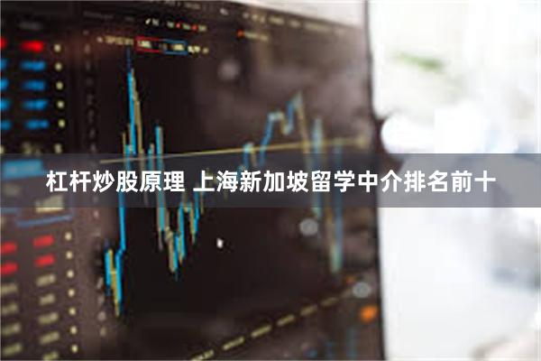 杠杆炒股原理 上海新加坡留学中介排名前十